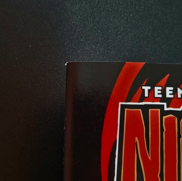 Teenage Mutant Ninja Turtles: Nightwatcher #7 - Picture 4 of 7